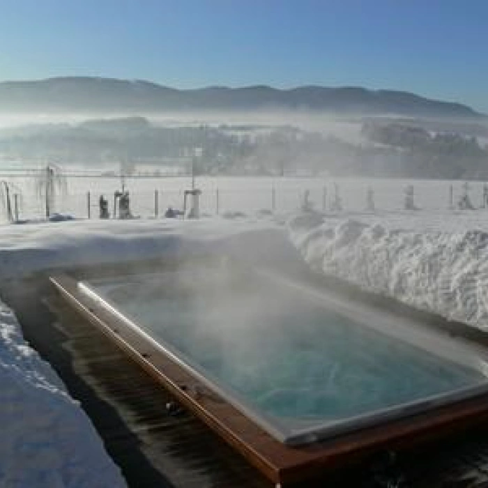 Swim Spa XL
